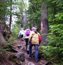 Hikers enjoy nature -- and health benefits.